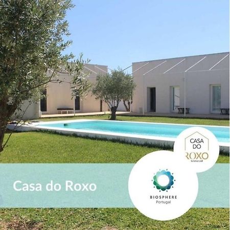 Casa Do Roxo - Eco Design Country House Santa Vitória 외부 사진