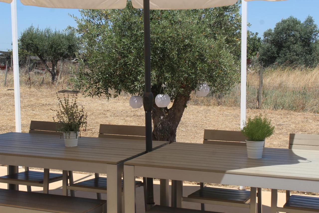 Casa Do Roxo - Eco Design Country House Santa Vitória 외부 사진