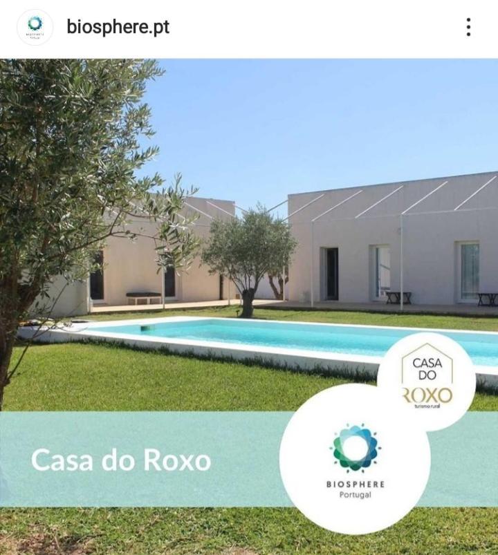 Casa Do Roxo - Eco Design Country House Santa Vitória 외부 사진